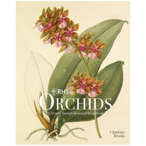 RHS Orchids
