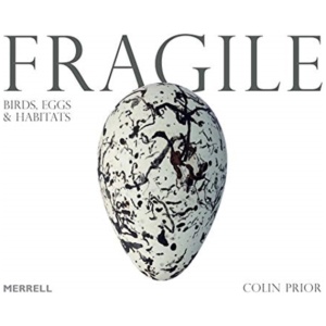 Fragile: Birds, Eggs & Habitats