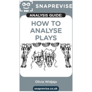 The SnapRevise Analysis Guides: How To Analyse Plays
