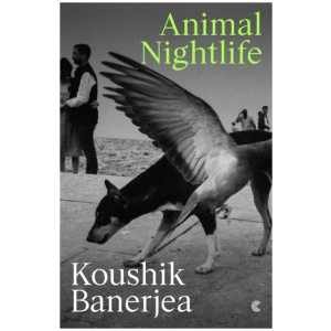 Animal Nightlife