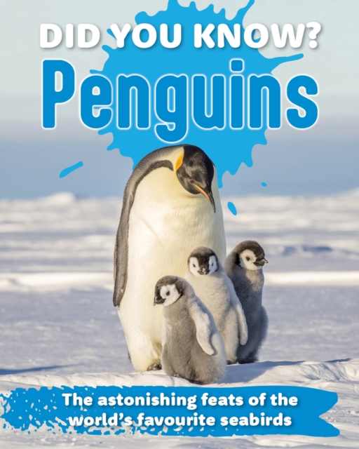 Did You Know? Penguins: The astonishing feats of the world's favourite seabirds