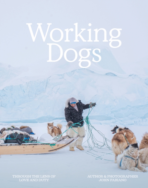 Working Dogs: Through the lens of love & duty