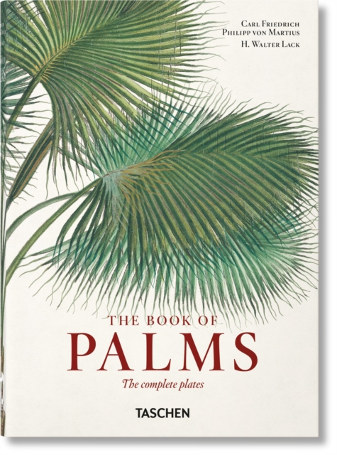 Martius: The Book of Palms. 45th Ed.