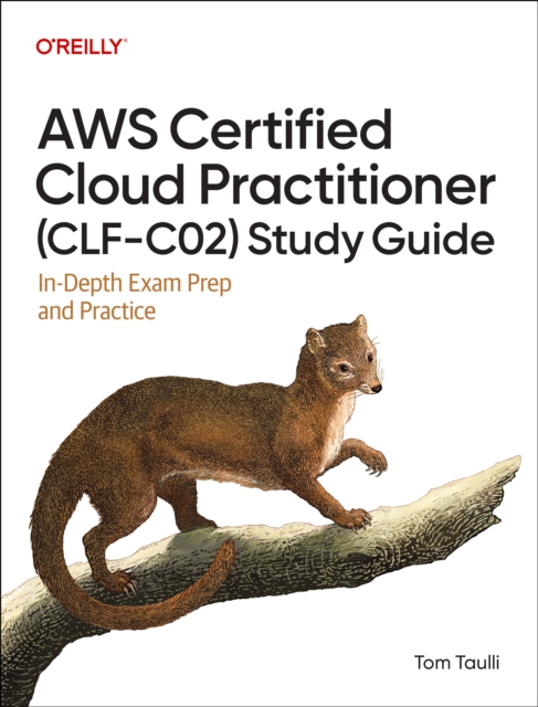 AWS Certified Cloud Practitioner (CLF-C02) Study Guide: In-Depth Exam Prep and Practice