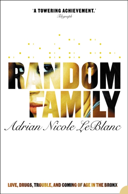 Random Family: Love, Drugs, Trouble and Coming of Age in the Bronx