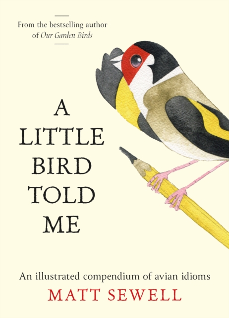 A Little Bird Told Me: An Illustrated Compendium of Bird Phrases