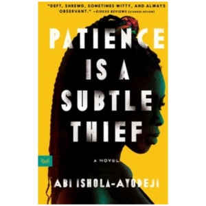 Patience Is a Subtle Thief: A Novel