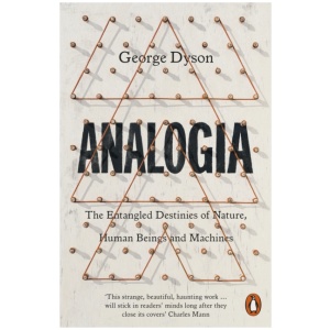 Analogia: The Entangled Destinies of Nature, Human Beings and Machines