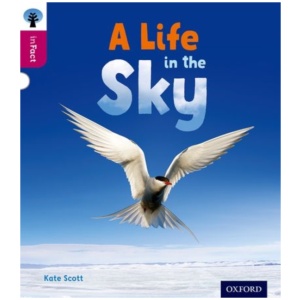 Oxford Reading Tree inFact: Level 10: A Life in the Sky