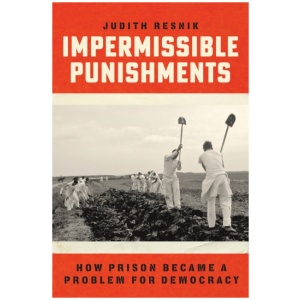 Impermissible Punishments: How Prison Became a Problem for Democracy