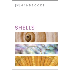 Shells