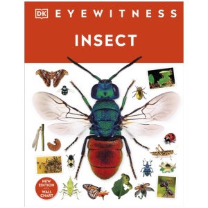 Insect