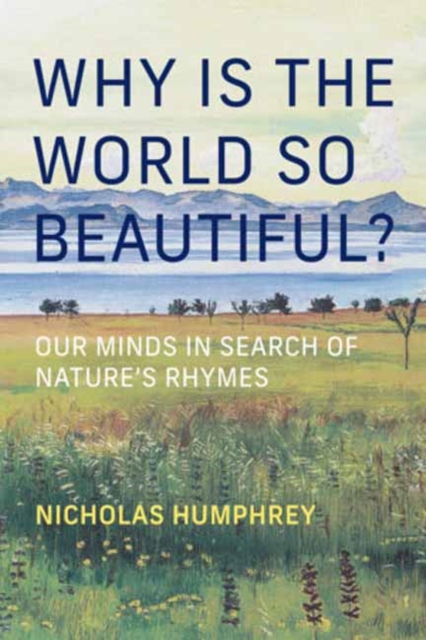 Why Is the World So Beautiful?: Our Minds in Search of Nature's Rhymes