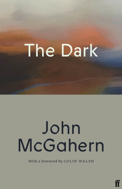 The Dark: Cillian Murphy: 'One of the greatest Irish writers’