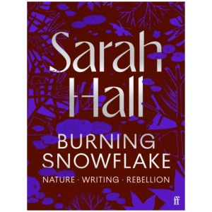 Burning Snowflake