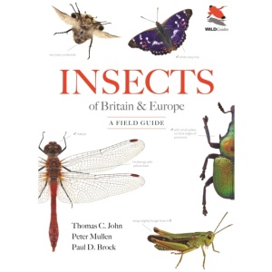 Insects of Britain and Europe: A Field Guide