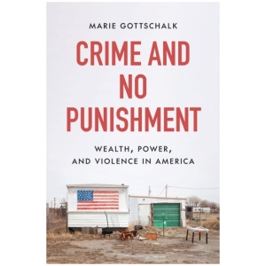 Crime and No Punishment: Wealth, Power, and Violence in America