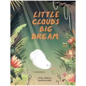 Little Cloud's Big Dream