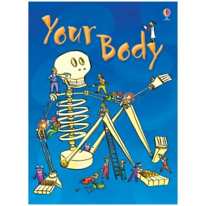 Your Body
