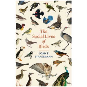 The Social Lives of Birds: a must-read for bird and nature lovers