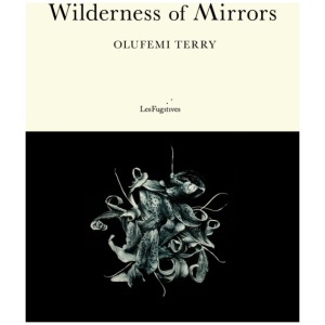 Wilderness of Mirrors