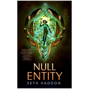 Null Entity