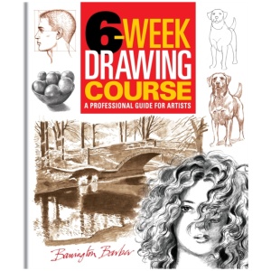 6-Week Drawing Course: A Professional Guide for Artists