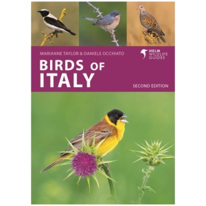 Birds of Italy