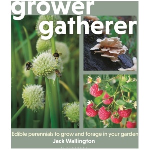 Grower Gatherer: Edible perennials to grow and forage in your garden