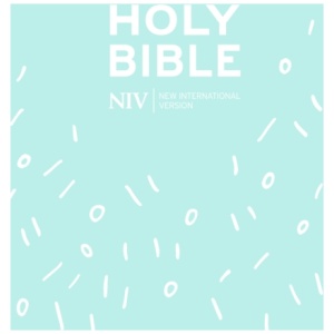 NIV Pocket Mint Soft-tone Bible with Zip
