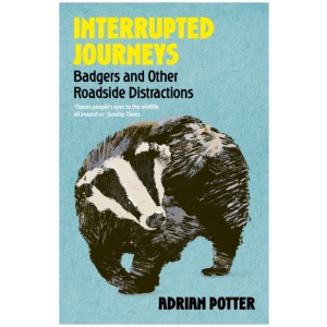 Interrupted Journeys: Badgers and Other Roadside Distractions