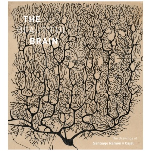 The Beautiful Brain: The Drawings of Santiago Ramon y Cajal
