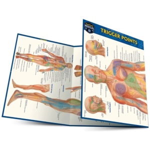 Trigger points
