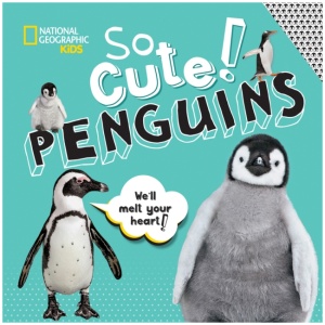 So Cute: Penguins