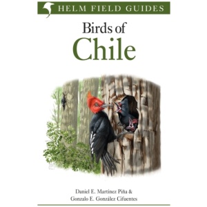 Field Guide to the Birds of Chile