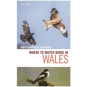 Where to Watch Birds in Wales