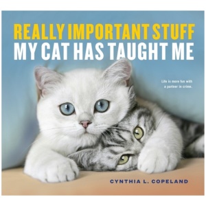 Really Important Stuff My Cat Has Taught Me