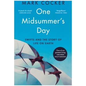 One Midsummer's Day: Swifts and the Story of Life on Earth