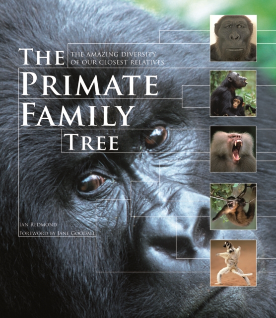 The Primate Family Tree: The Amazing Diversity of Our Closest Relatives