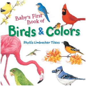 Baby's First Book of Birds & Colors