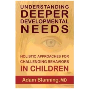 Understanding Deeper Developmental Needs: Holistic Approaches for Challenging Behaviors in Children