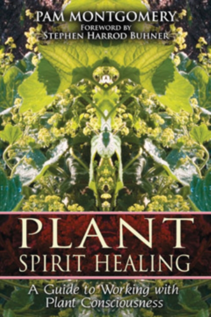 Plant Spirit Healing: A Guide to Working with Plant Consciousness