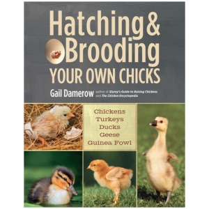 Hatching & Brooding Your Own Chicks: Chickens, Turkeys, Ducks, Geese, Guinea Fowl