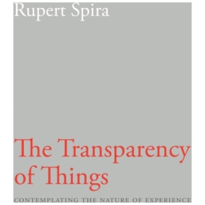 Transparency of Things: Contemplating the Nature of Experience