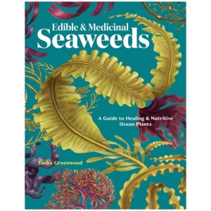 Edible & Medicinal Seaweeds: A Guide to Healing & Nutritive Ocean Plants
