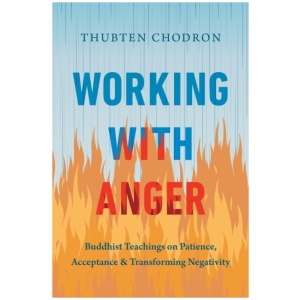 Working with Anger: Buddhist Teachings on Patience, Acceptance, and Transforming Negativity
