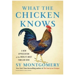 What the Chicken Knows: A New Appreciation of the World's Most Familiar Bird