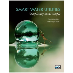 Smart Water Utilities: Complexity Made Simple