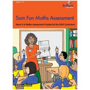 Sum Fun Maths Assessment: Years 5-6 Maths Assessment Puzzles for the 2014 Curriculum
