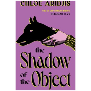 The Shadow of the Object